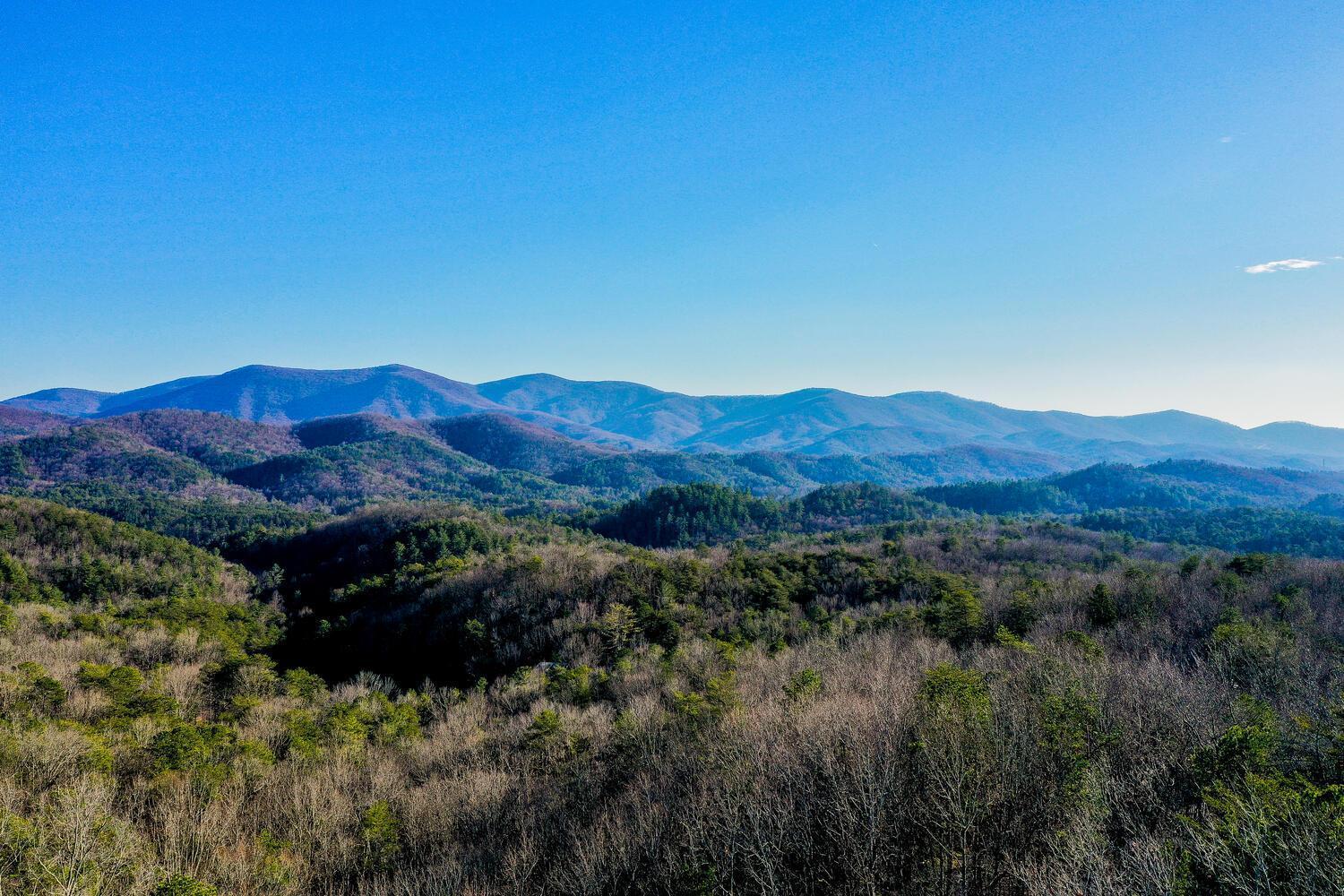 Blue Ridge Bliss- Spacious Cabin, Pets, Hot Tub! Exterior foto